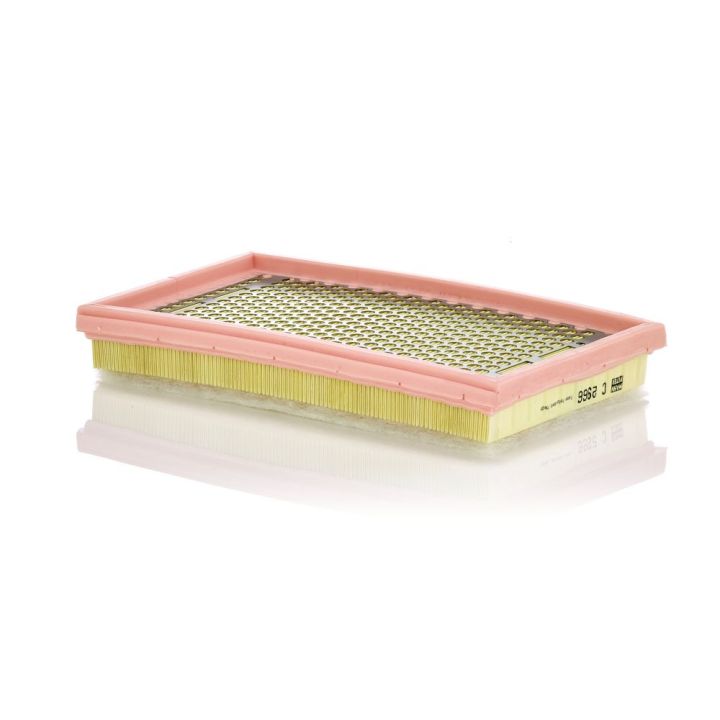 Oro filtras MANN-FILTER C 2966