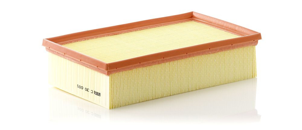 Oro filtras MANN-FILTER C 30 005