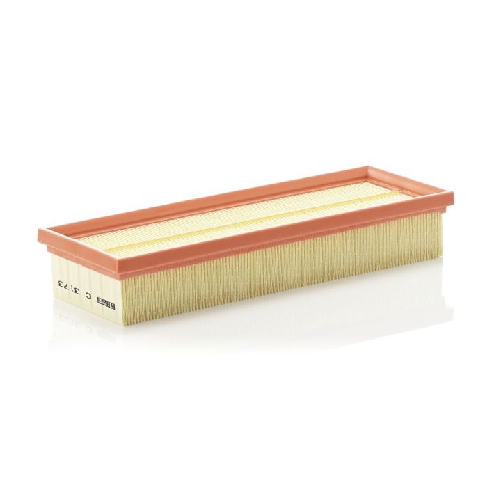 Oro filtras MANN-FILTER C 3173