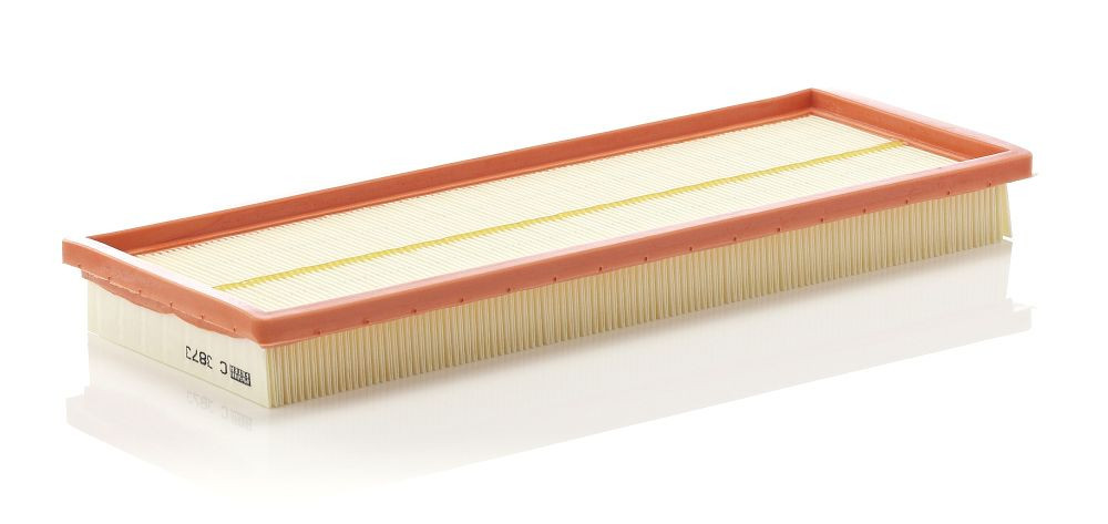 Oro filtras MANN-FILTER C 3873