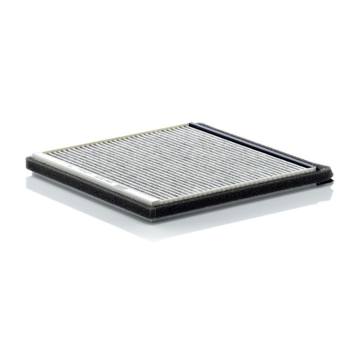 Filtras, salono oras MANN-FILTER CUK 2225