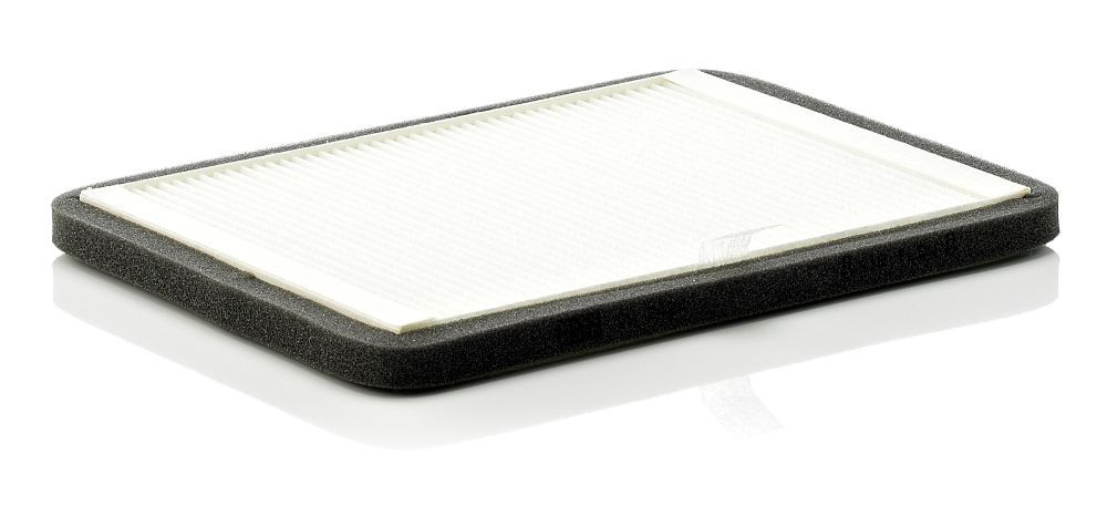 Filtras, salono oras MANN-FILTER CUK 2424