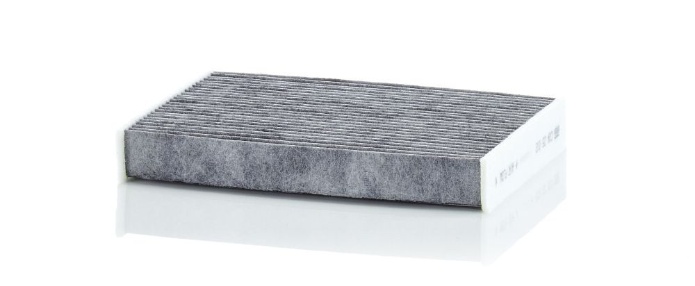 Filtras, salono oras MANN-FILTER CUK 25 012