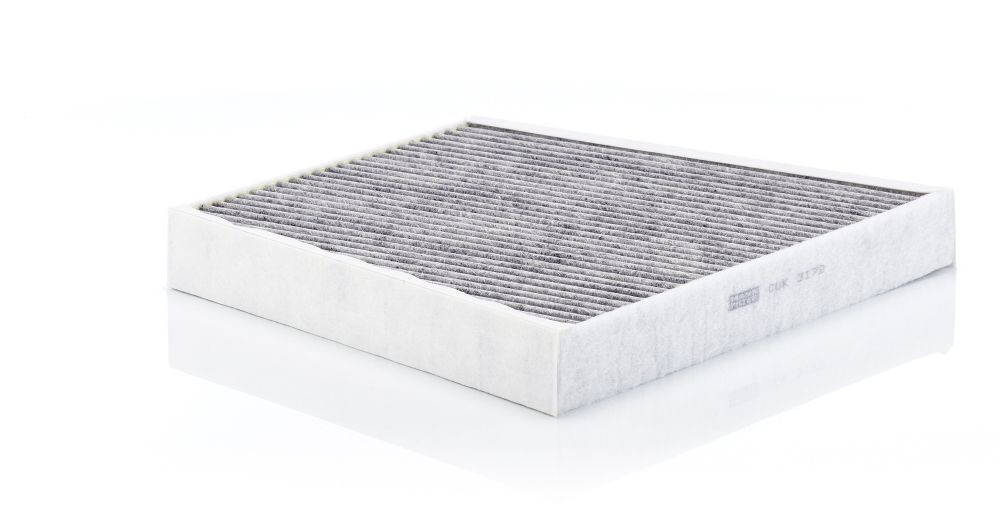 Filtras, salono oras MANN-FILTER CUK 3172