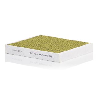 Filtras, salono oras MANN-FILTER FP 24 003