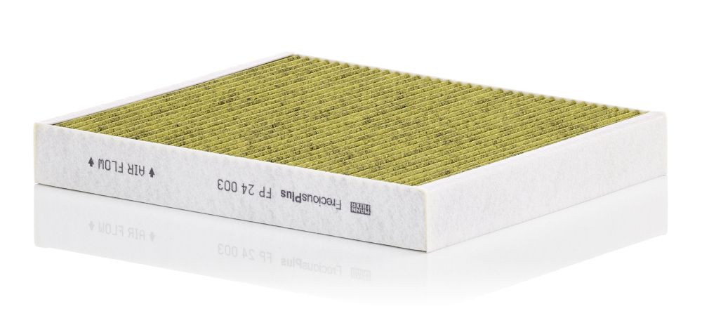 Filtras, salono oras MANN-FILTER FP 24 003