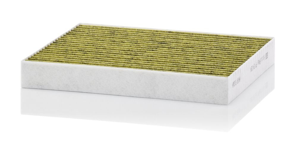 Filtras, salono oras MANN-FILTER FP 24 024