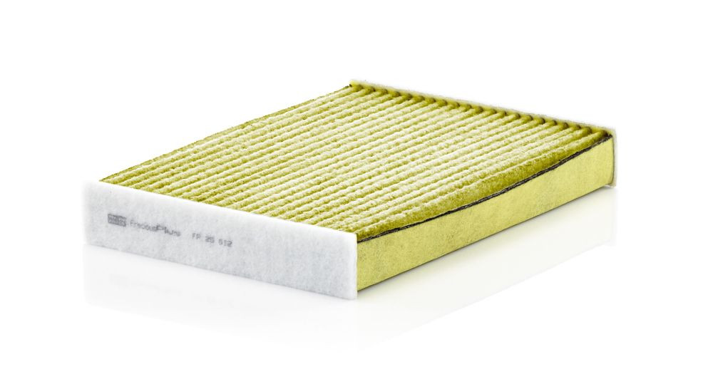 Filtras, salono oras MANN-FILTER FP 25 012