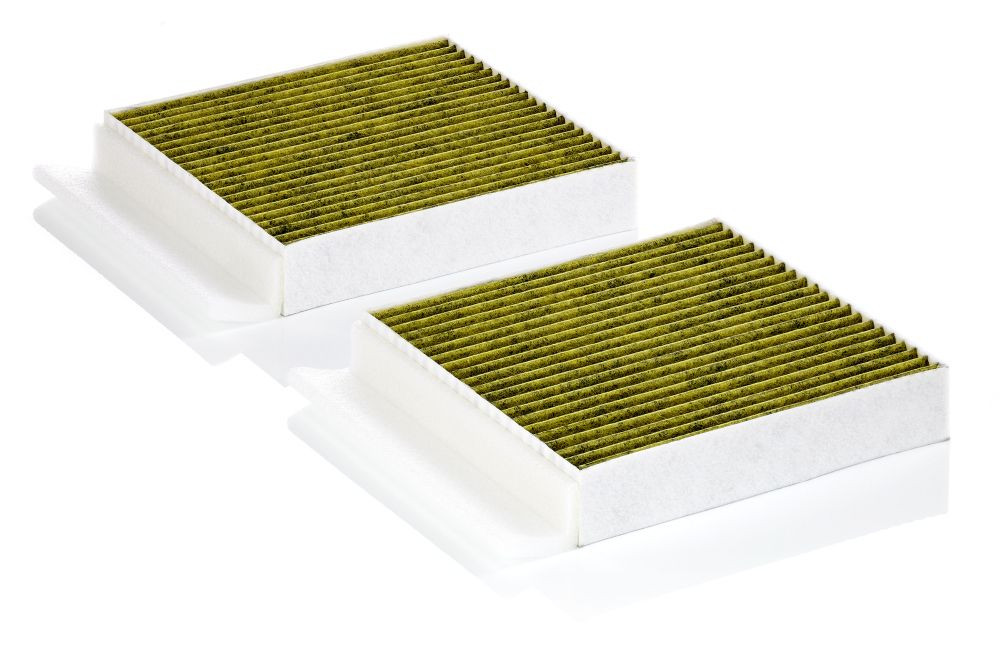 Filtras, salono oras MANN-FILTER FP 25 034-2