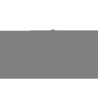 Filtras, salono oras MANN-FILTER FP 26 005