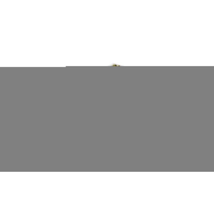 Filtras, salono oras MANN-FILTER FP 26 005