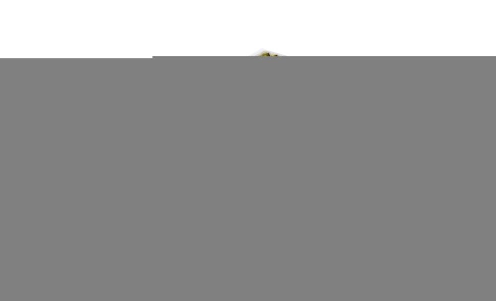 Filtras, salono oras MANN-FILTER FP 26 005