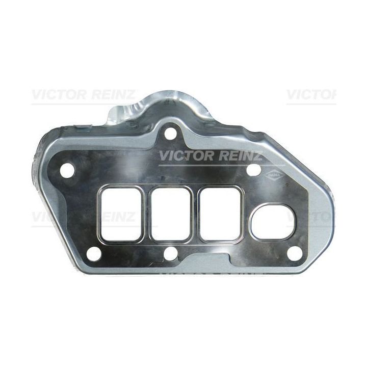 Tarpiklis, išleidimo kolektorius VICTOR REINZ 71-19281-00