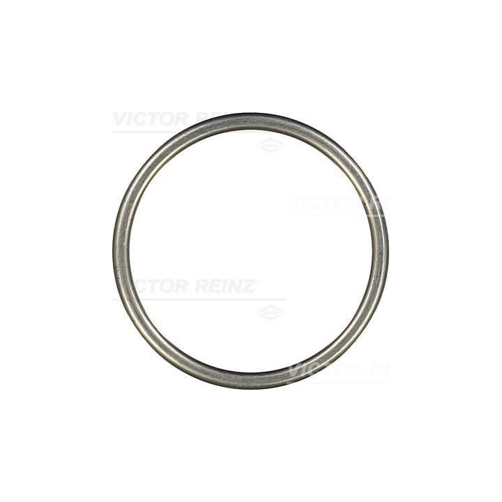 Tarpiklis, išleidimo kolektorius VICTOR REINZ 71-26201-10