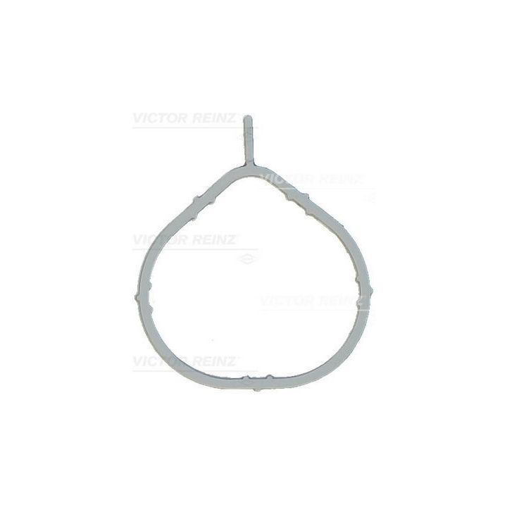 Tarpiklis, įsiurbimo kolektorius VICTOR REINZ 71-17066-00