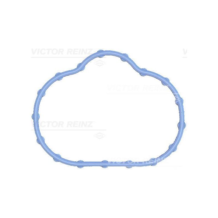 Tarpiklis, įsiurbimo kolektorius VICTOR REINZ 71-17497-00