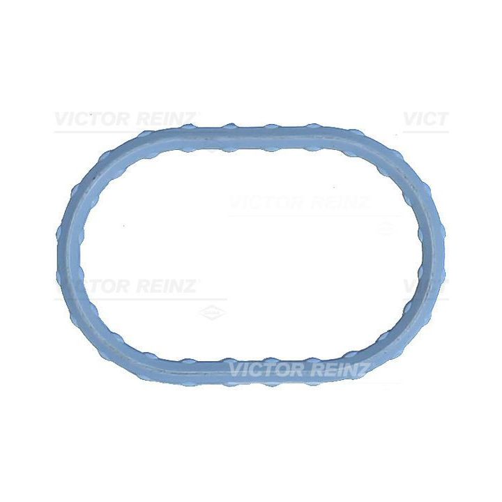 Tarpiklis, įsiurbimo kolektorius VICTOR REINZ 71-17498-00