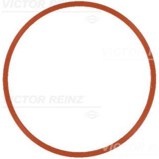 Tarpiklis, įsiurbimo kolektorius VICTOR REINZ 71-17585-00