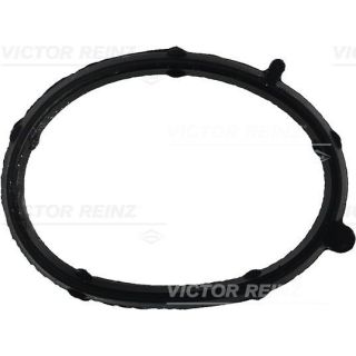 Tarpiklis, įsiurbimo kolektorius VICTOR REINZ 71-35681-00