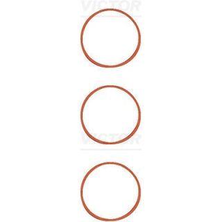 Tarpiklių rinkinys, įsiurbimo kolektorius VICTOR REINZ 11-11551-01