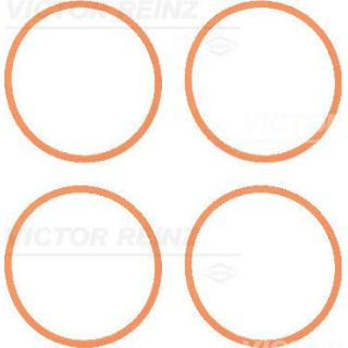 Tarpiklių rinkinys, įsiurbimo kolektorius VICTOR REINZ 11-37616-01