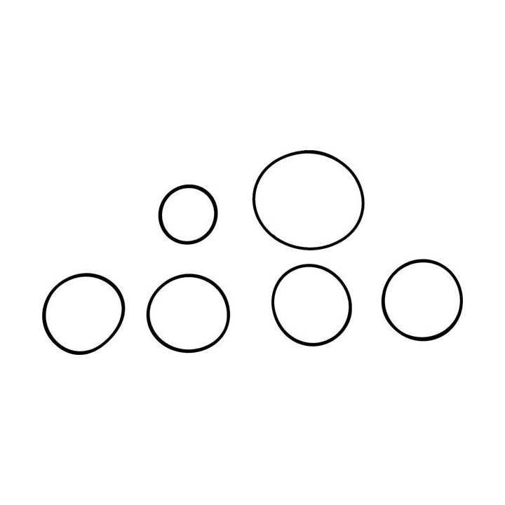 Tarpiklių rinkinys, įsiurbimo kolektorius VICTOR REINZ 11-42136-01