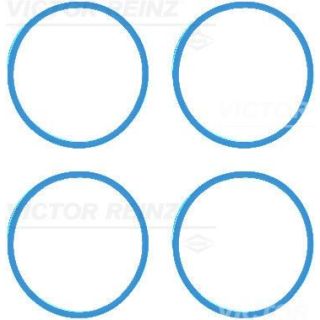 Tarpiklių rinkinys, įsiurbimo kolektorius VICTOR REINZ 11-42216-01