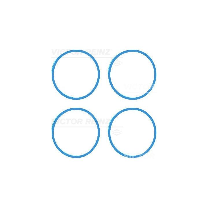 Tarpiklių rinkinys, įsiurbimo kolektorius VICTOR REINZ 11-42216-01