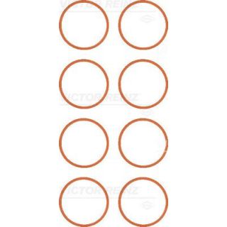 Tarpiklių rinkinys, įsiurbimo kolektorius VICTOR REINZ 11-77637-01