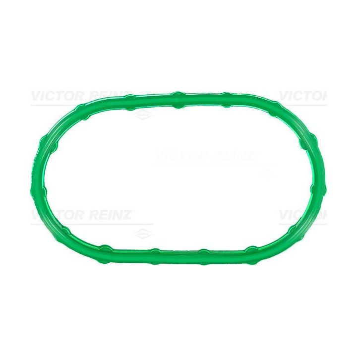 Tarpiklis, įsiurbimo kolektoriaus korpusas VICTOR REINZ 71-10043-00