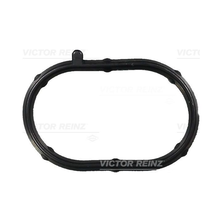 Tarpiklis, įsiurbimo kolektoriaus korpusas VICTOR REINZ 71-35682-00