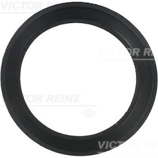 Tarpiklis, įsiurbimo kolektoriaus korpusas VICTOR REINZ 71-36061-00