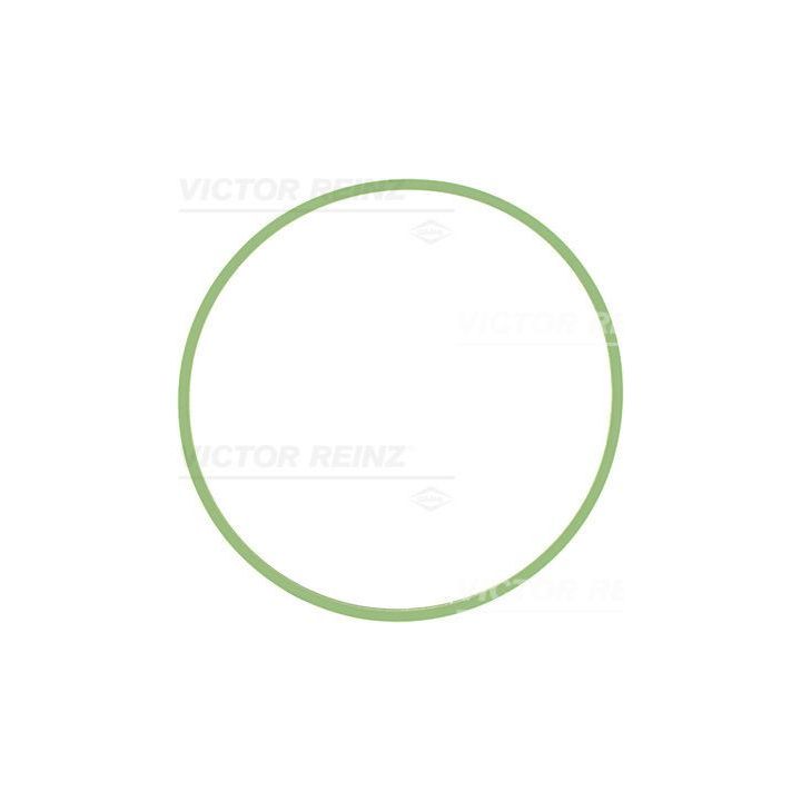 Tarpiklis, įsiurbimo kolektoriaus korpusas VICTOR REINZ 71-37631-00