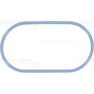 Tarpiklis, įsiurbimo kolektoriaus korpusas VICTOR REINZ 71-38102-00