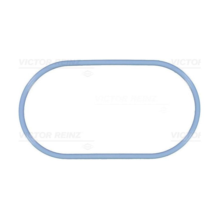 Tarpiklis, įsiurbimo kolektoriaus korpusas VICTOR REINZ 71-38102-00