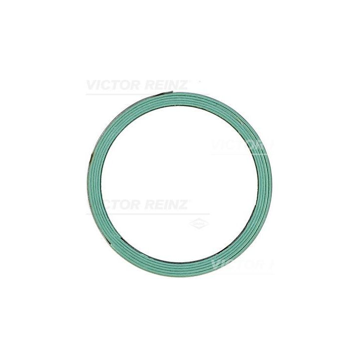 Tarpiklis, išleidimo kolektorius VICTOR REINZ 71-11960-00