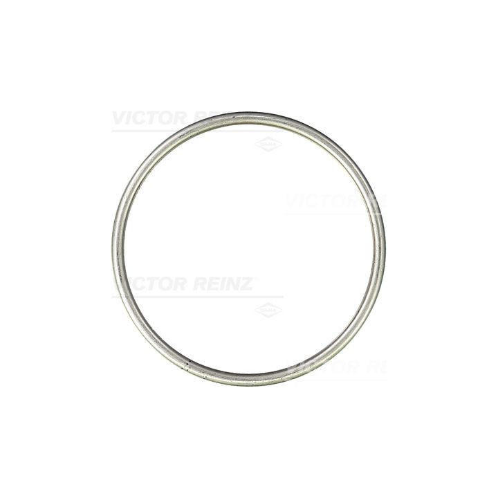 Tarpiklis, išleidimo kolektorius VICTOR REINZ 71-26182-10