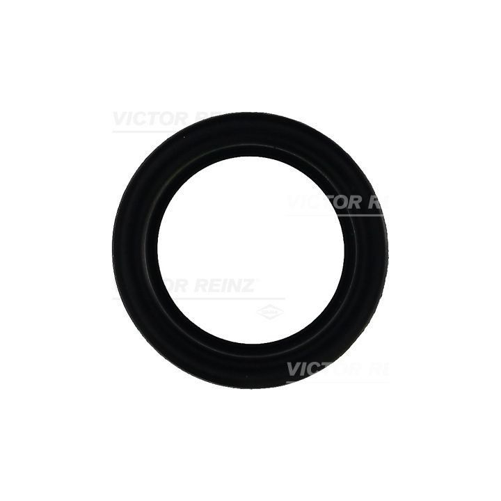 Tarpiklis, svirties dangtis VICTOR REINZ 71-27159-00