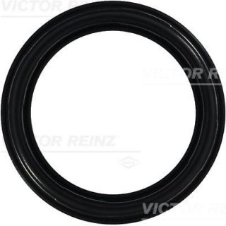 Tarpiklis, svirties dangtis VICTOR REINZ 71-35659-00