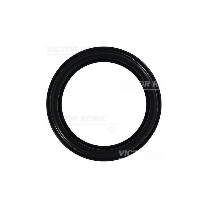 Tarpiklis, svirties dangtis VICTOR REINZ 71-35659-00