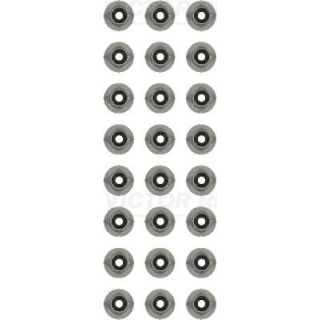 Tarpiklių komplektas, vožtuvo šerdis VICTOR REINZ 12-13246-02