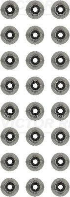 Tarpiklių komplektas, vožtuvo šerdis VICTOR REINZ 12-13246-02