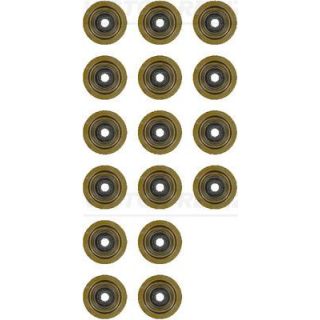 Tarpiklių komplektas, vožtuvo šerdis VICTOR REINZ 12-35493-02