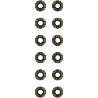 Tarpiklių komplektas, vožtuvo šerdis VICTOR REINZ 12-36206-01