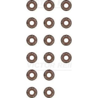 Tarpiklių komplektas, vožtuvo šerdis VICTOR REINZ 12-53036-01