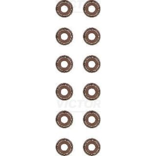 Tarpiklių komplektas, vožtuvo šerdis VICTOR REINZ 12-53036-02