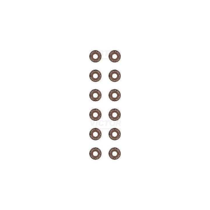 Tarpiklių komplektas, vožtuvo šerdis VICTOR REINZ 12-53036-02