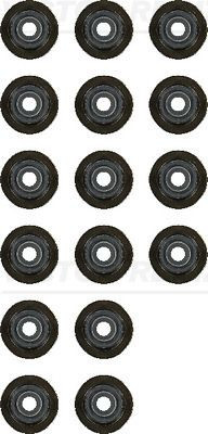 Tarpiklių komplektas, vožtuvo šerdis VICTOR REINZ 12-53499-01