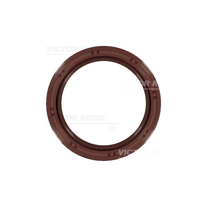 Veleno sandariklis, alkūninis velenas VICTOR REINZ 81-10380-00