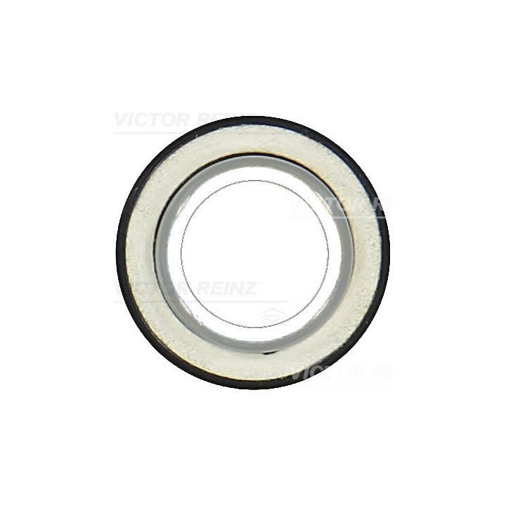 Veleno sandariklis, skirstomasis velenas VICTOR REINZ 81-10559-00